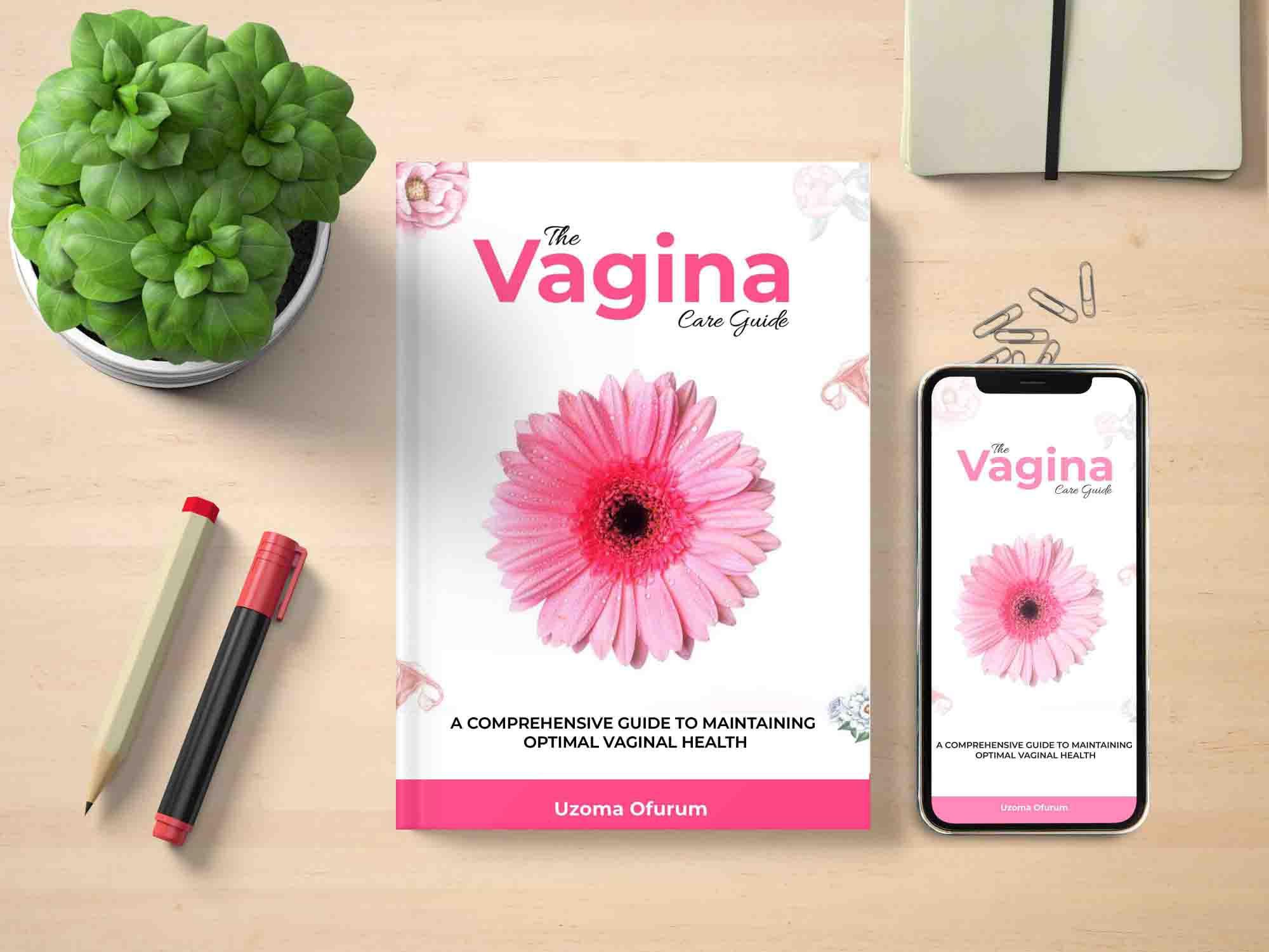 A book titled Vagina Care Guide